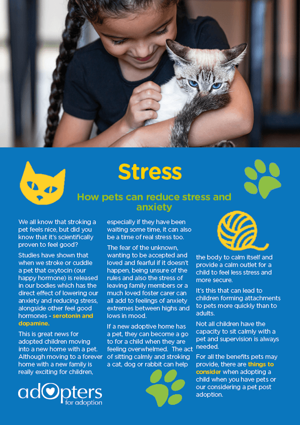 how-pets-can-reduce-stress-for-adopted-children-adopters-for-adoption